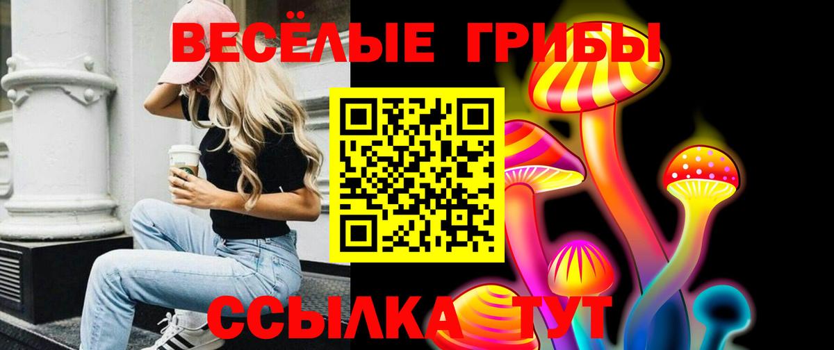 Галлюциногенные грибы GOLDEN TEACHER  Галлюциногенные грибы ЛСД  Вход с VPN  Джанкой 